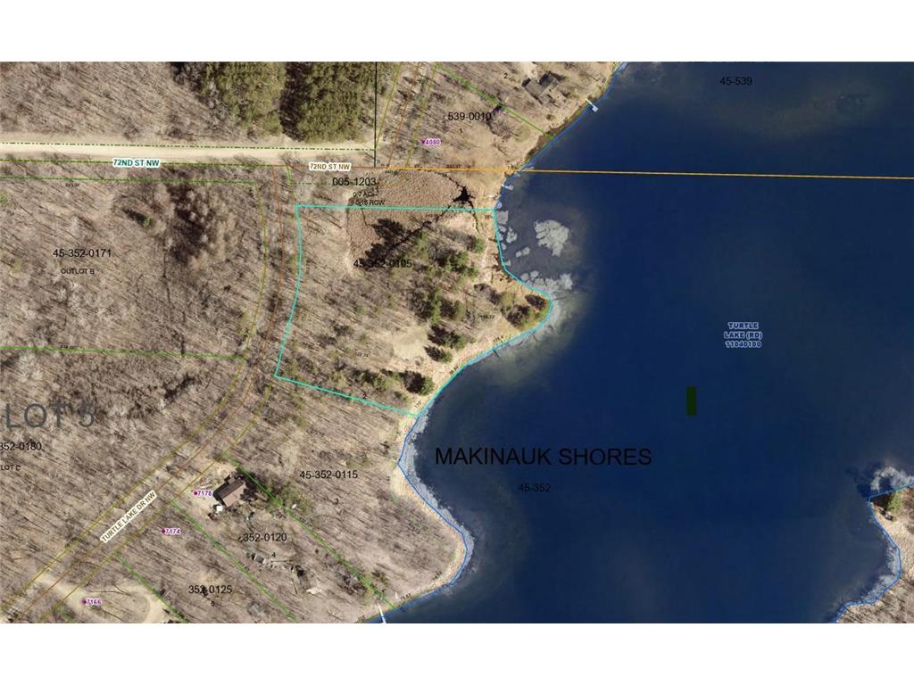Lot 1 Turtle Lake Drive NW Walker MN 56484 - Turtle Lake 6747031 image3