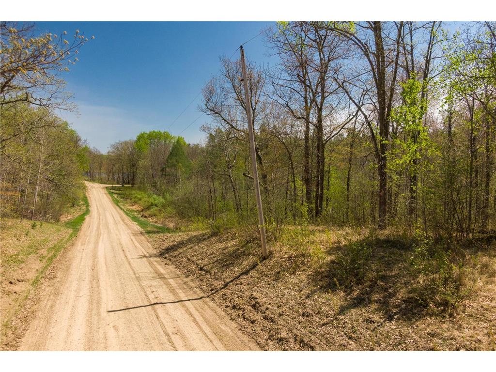 Lot 1 Turtle Lake Drive NW Walker MN 56484 - Turtle Lake 6747031 image9