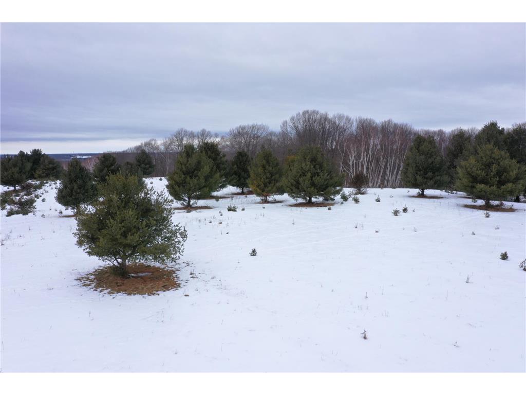 Lot 1 Whispering Pines Road Frederic WI 54837 7008802 image1