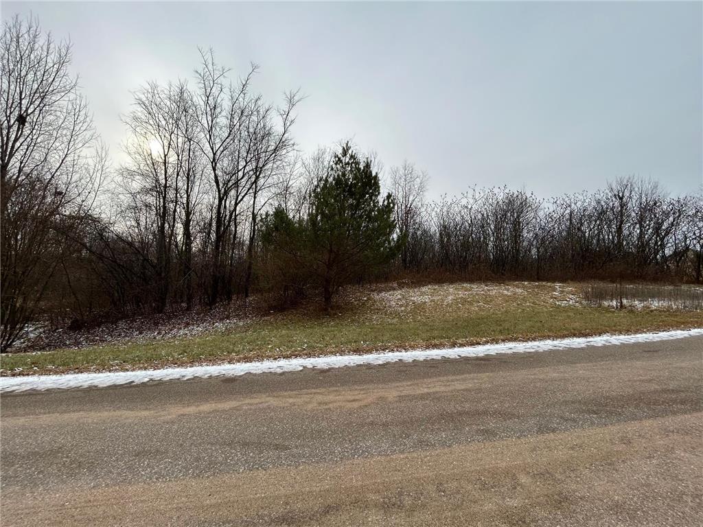 Lot 10 776th Avenue Spring Valley WI 54767 6475108 image2