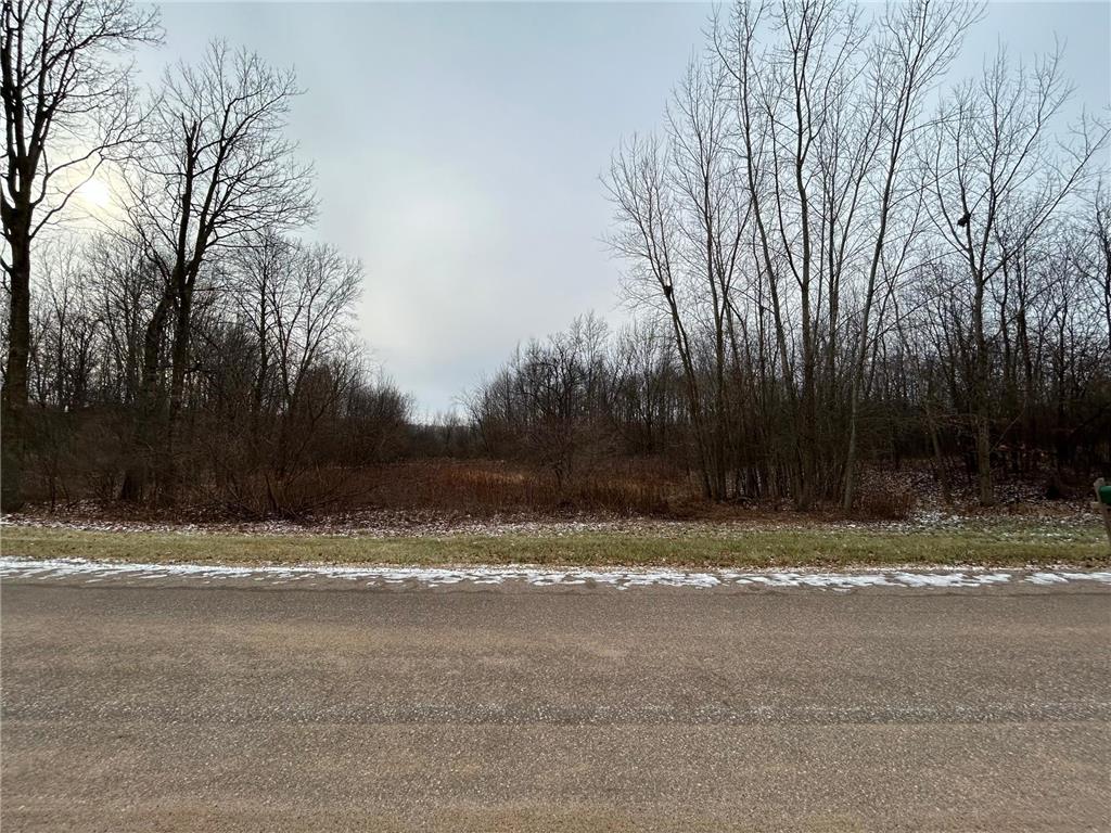 Lot 10 776th Avenue Spring Valley WI 54767 6475108 image3