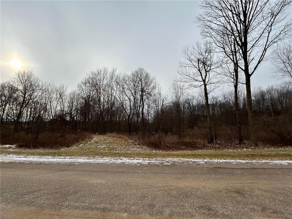 Lot 10 776th Avenue Spring Valley WI 54767 6475108 image4