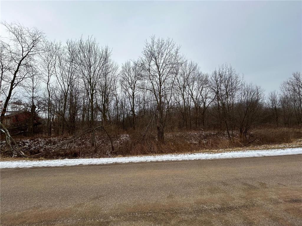 Lot 10 776th Avenue Spring Valley WI 54767 6475108 image6