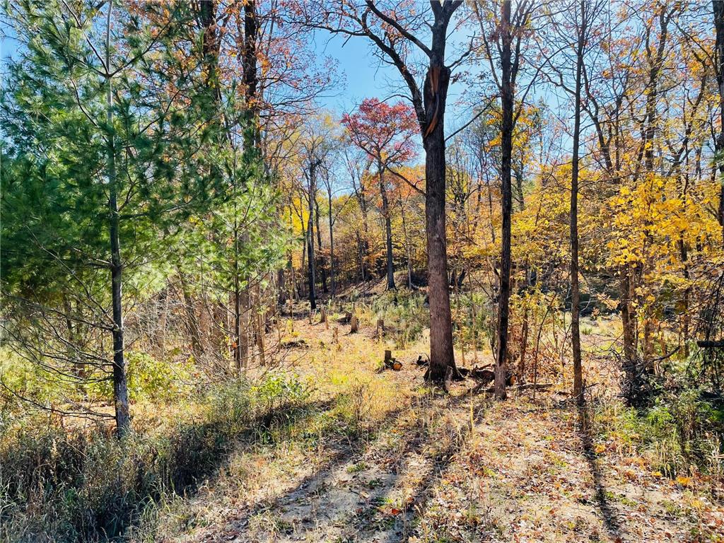 Lot 10 Blk 2 Goldfinch Circle NE Miltona Twp MN 56354 6305350 image1