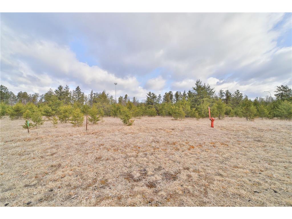 Lot 10 Block 1 Joneswood Circle Baxter MN 56425 6506415 image1