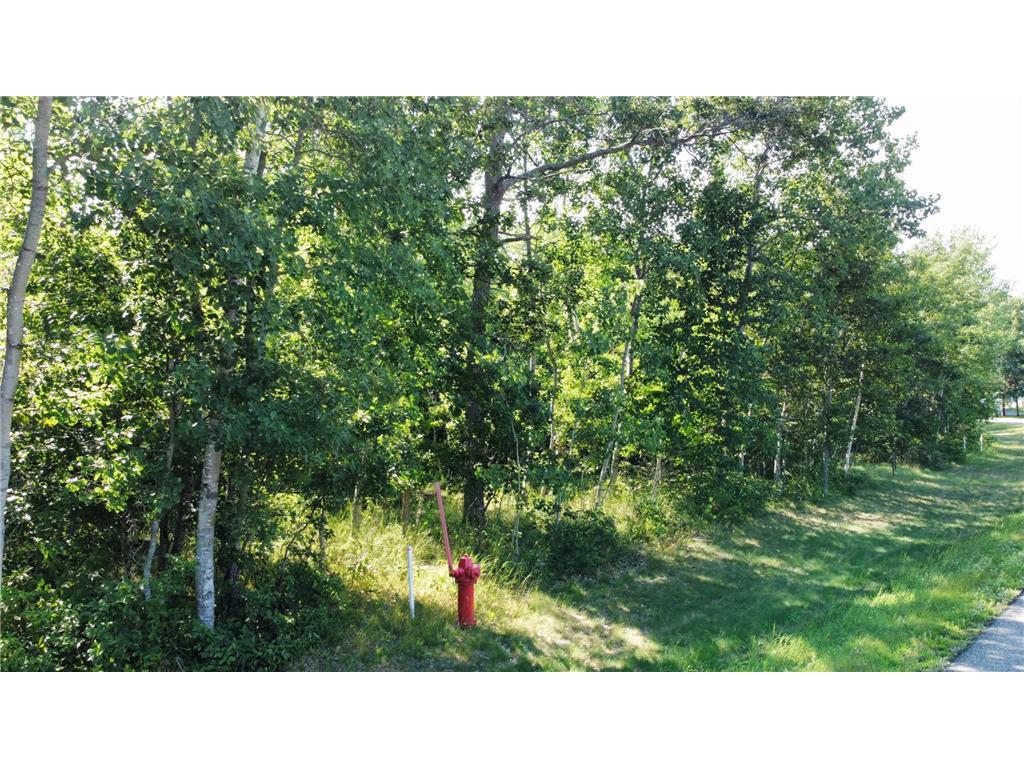 Lot 10 Block 1 Lynndale Drive N Baxter MN 56425 6453263 image1