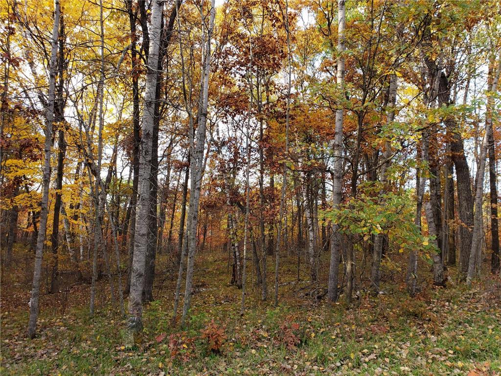 Lot 10 Blue Ridge Drive Breezy Point MN 56472 6178748 image1