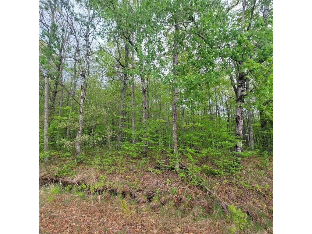 Lot 10 County Road A Spooner WI 54801 6636975 image2