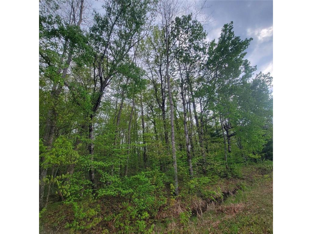 Lot 10 County Road A Spooner WI 54801 6636975 image3