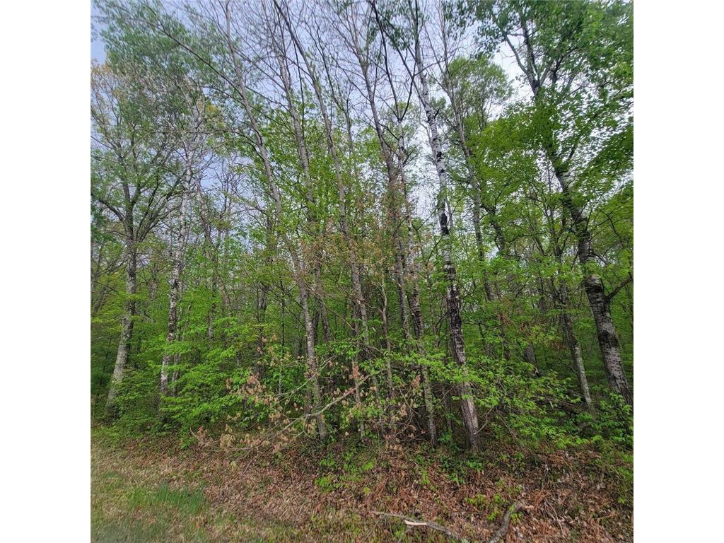Lot 10 County Road A Spooner WI 54801 6636975 image4