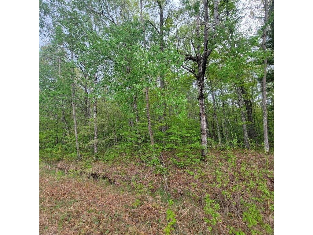 Lot 10 County Road A Spooner WI 54801 6636975 image5