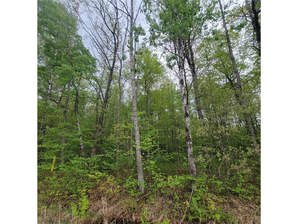Lot 10 County Road A Spooner WI 54801 6636975 image6