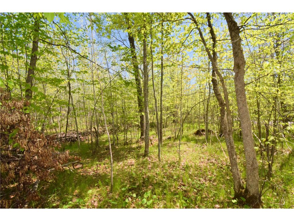 Lot 10 Fremsted Road Oakland WI 54830 - Fremstadt Lake 7081578 image2