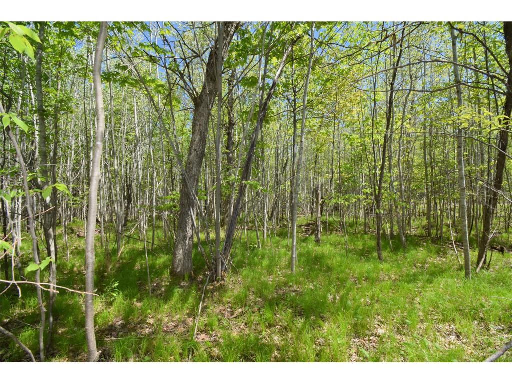 Lot 10 Fremsted Road Oakland WI 54830 - Fremstadt Lake 7081578 image28