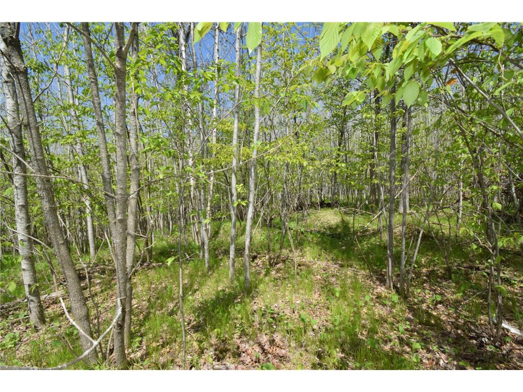 Lot 10 Fremsted Road Oakland WI 54830 - Fremstadt Lake 7081578 image5