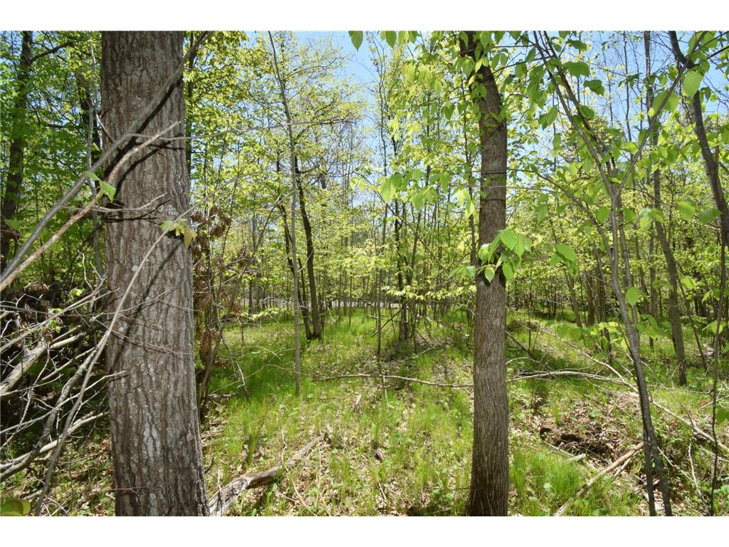 Lot 10 Fremsted Road Oakland WI 54830 - Fremstadt Lake 7081578 image6