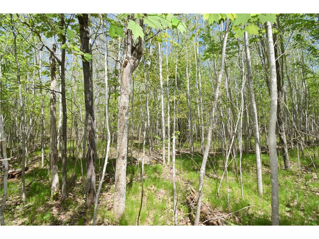 Lot 10 Fremsted Road Oakland WI 54830 - Fremstadt Lake 7081578 image7