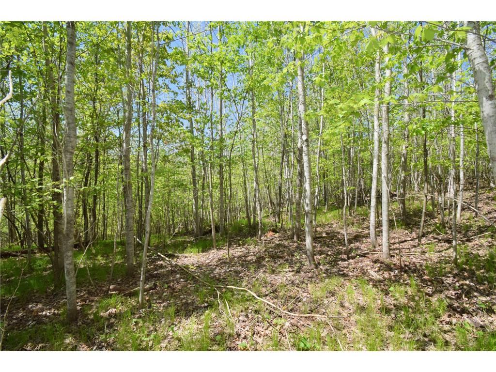 Lot 10 Fremsted Road Oakland WI 54830 - Fremstadt Lake 7081578 image8