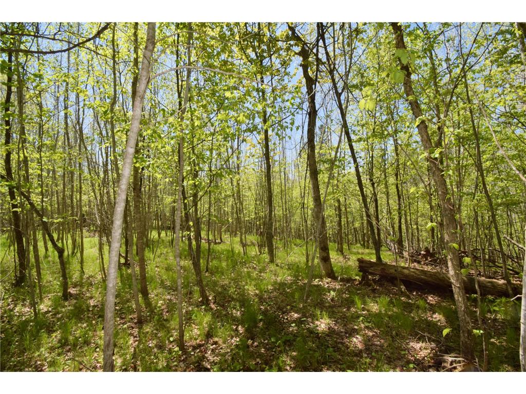 Lot 10 Fremsted Road Oakland WI 54830 - Fremstadt Lake 7081578 image9
