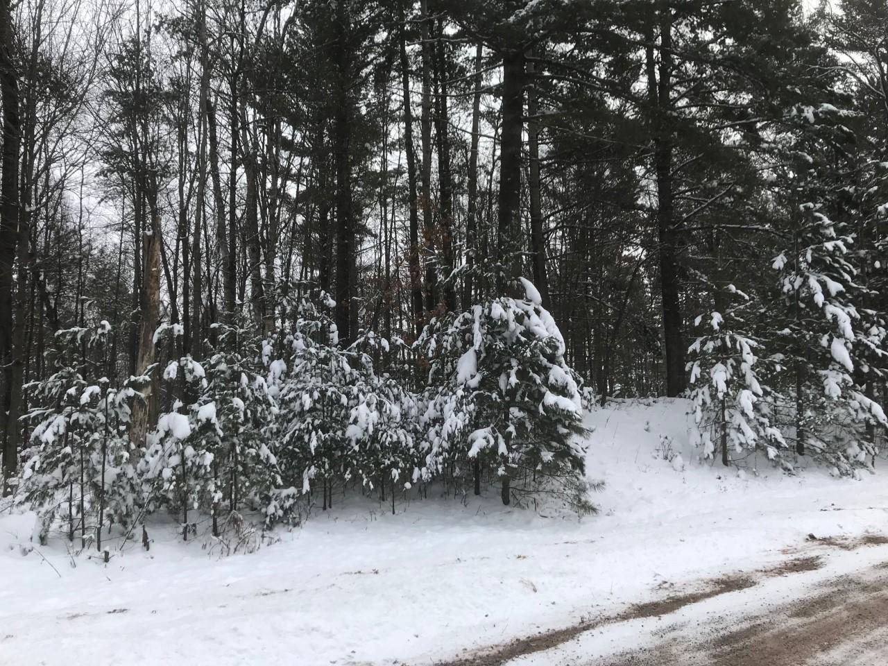 Lot 10 Garden Drive, Siren, WI, 54872 MLS 6144407 Edina Realty