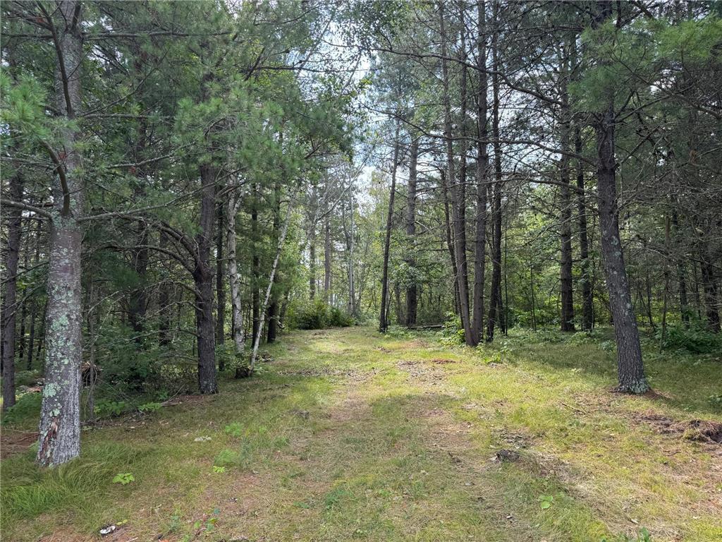 Lot 10 Great Deer Drive, Nevis, MN, 56467 MLS 6541522 Edina Realty