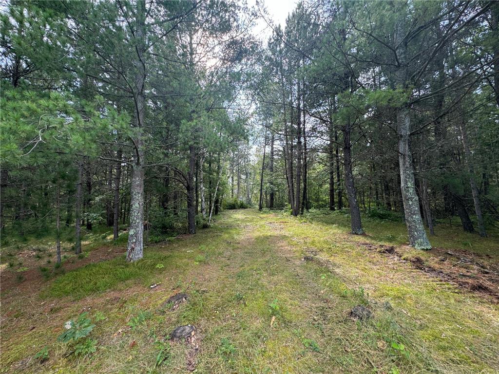 Lot 10 Great Deer Drive, Nevis, MN, 56467 MLS 6541522 Edina Realty