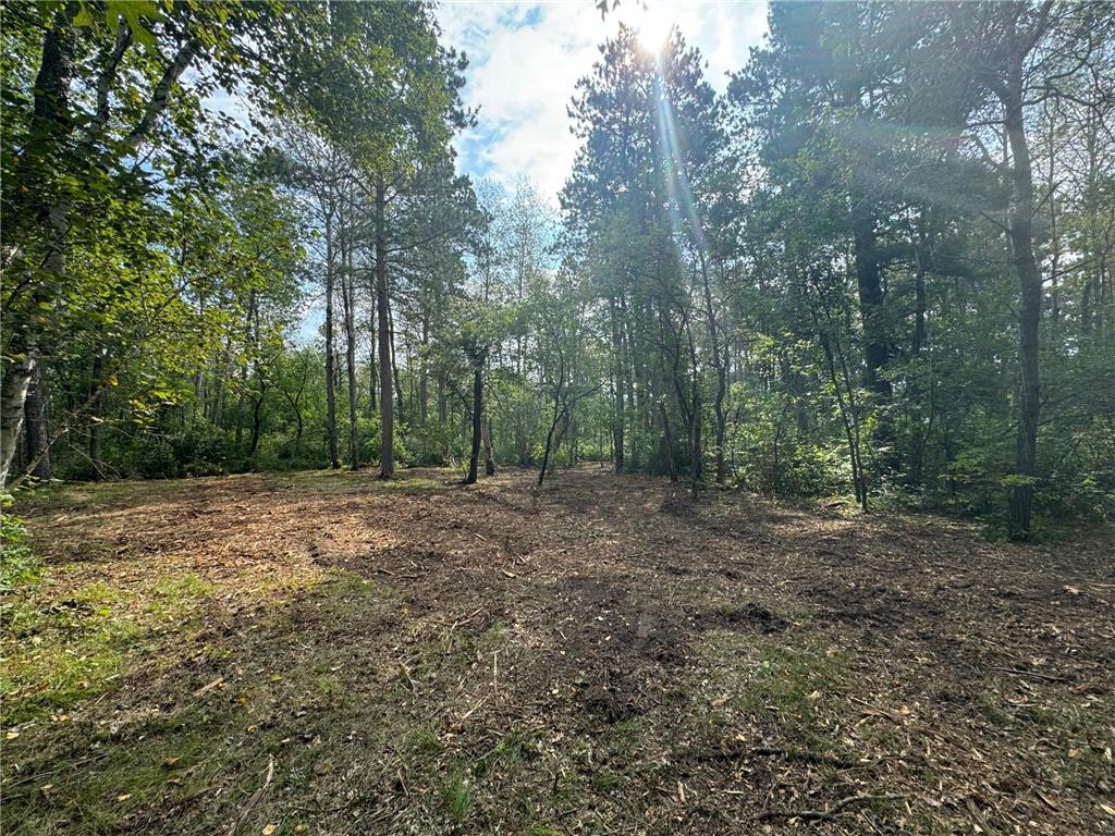 Lot 10 Great Deer Drive, Nevis, MN, 56467 MLS 6541522 Edina Realty