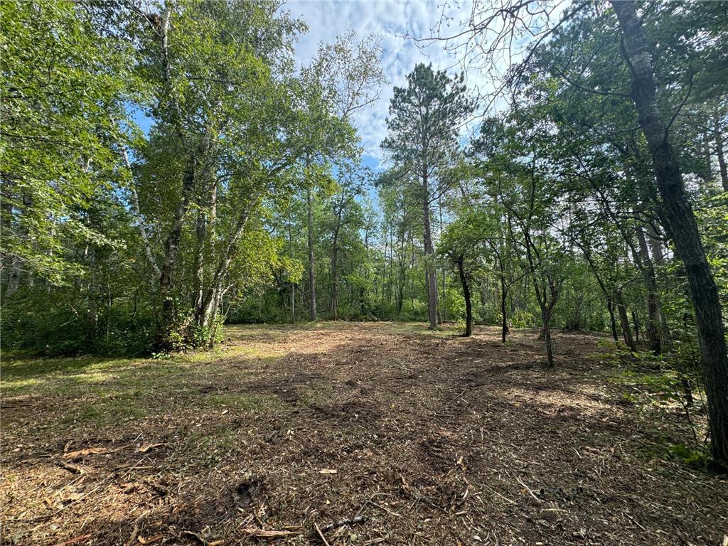 Lot 10 Great Deer Drive, Nevis, MN, 56467 MLS 6541522 Edina Realty