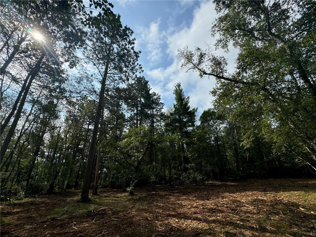 Lot 10 Great Deer Drive, Nevis, MN, 56467 MLS 6541522 Edina Realty