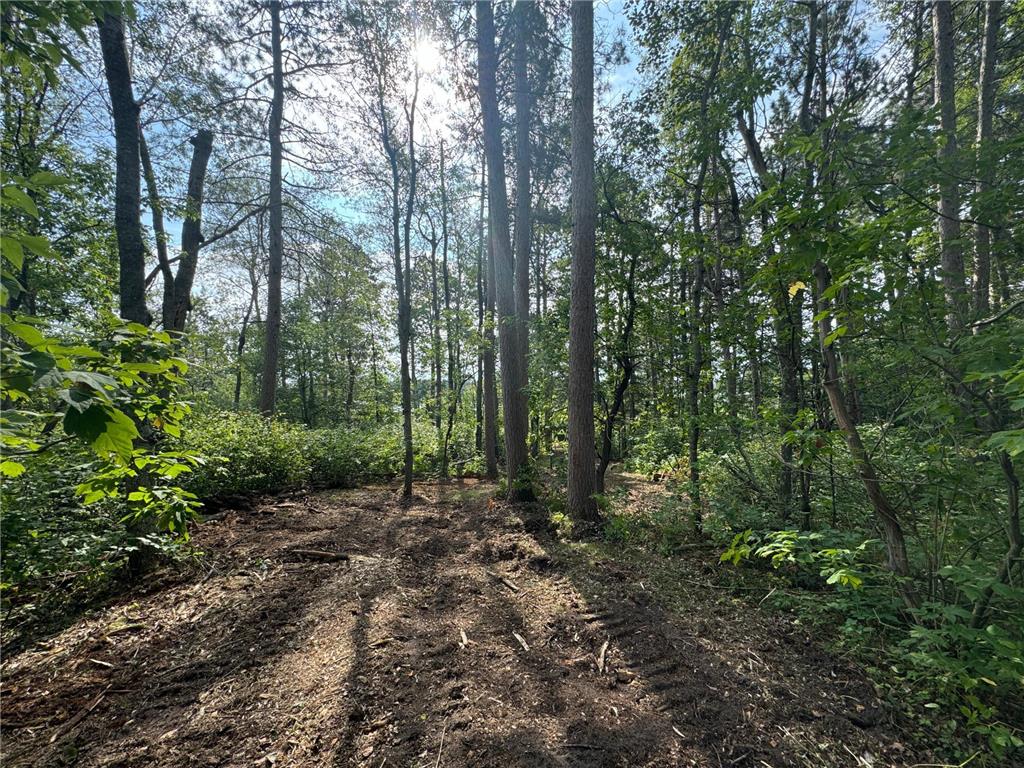 Lot 10 Great Deer Drive, Nevis, MN, 56467 MLS 6541522 Edina Realty