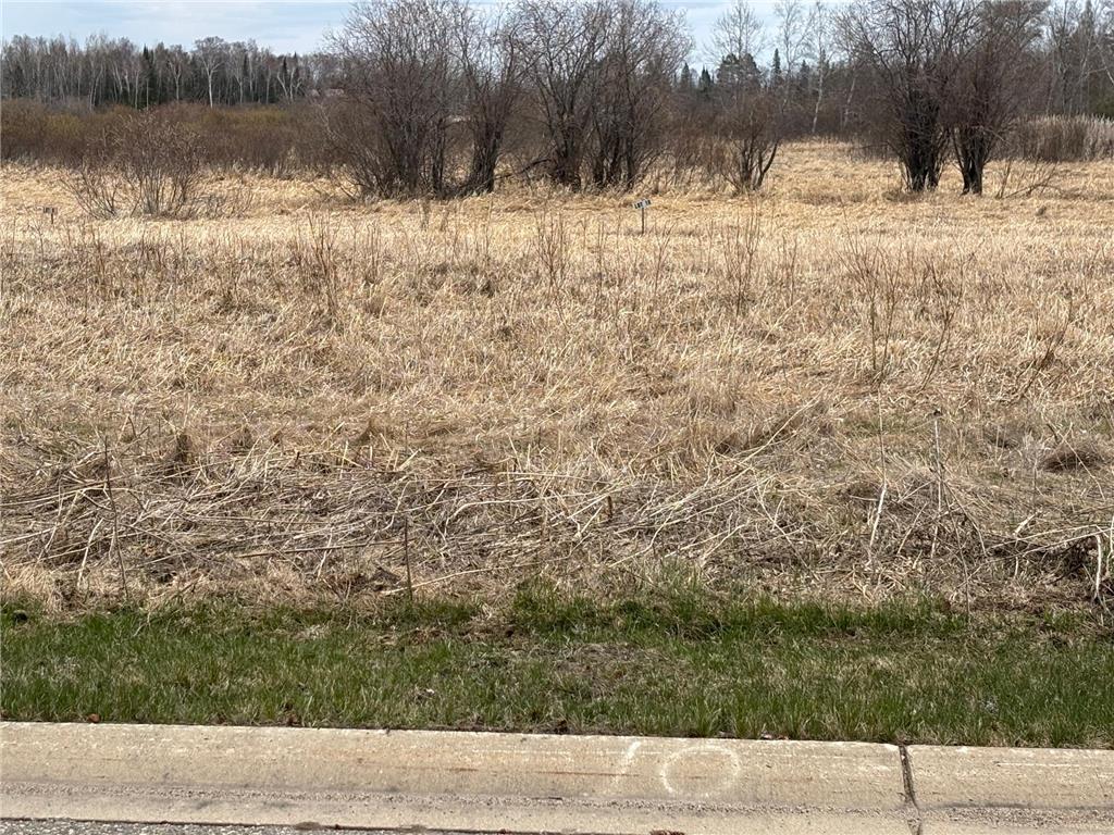 Lot 10 Irvine Avenue NW Bemidji MN 56601 7028269 image1