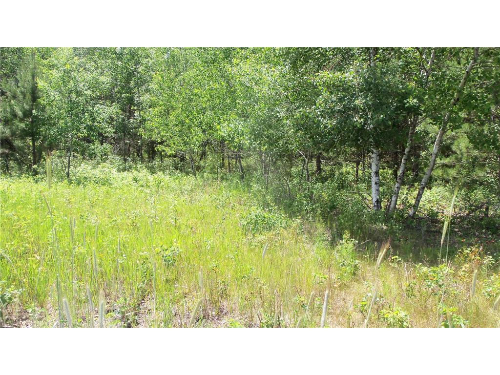 Lot 10 Maple Ln Siren WI 54872 6752040 image3