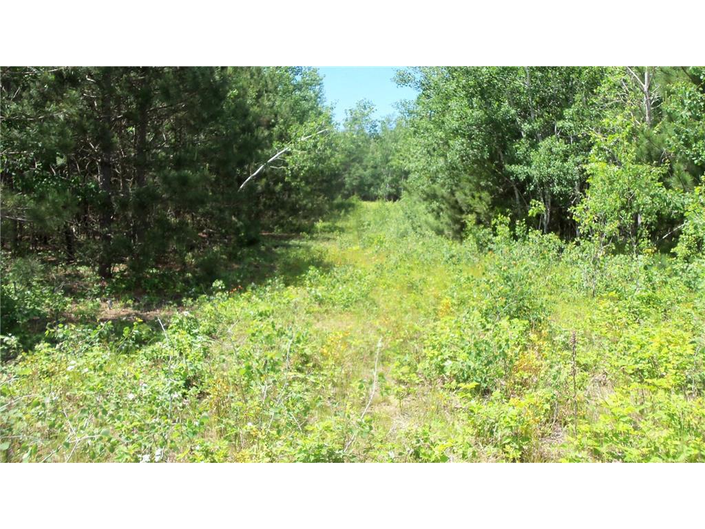 Lot 10 Maple Ln Siren WI 54872 6752040 image4