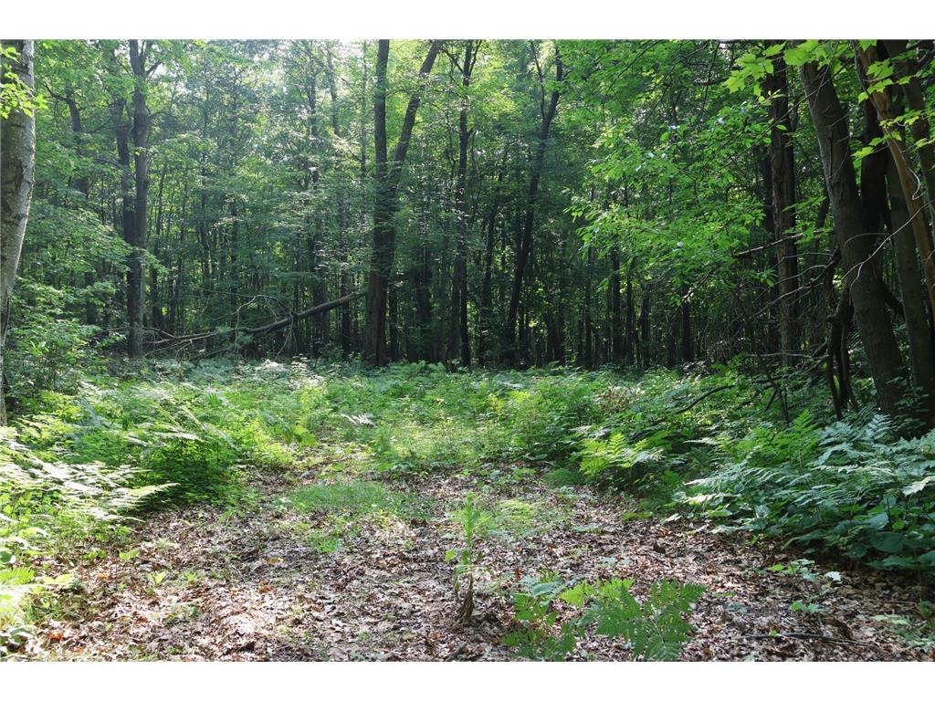 Lot 11 103rd Street Frederic WI 54837 - Knapp Flowage 6762196 image11