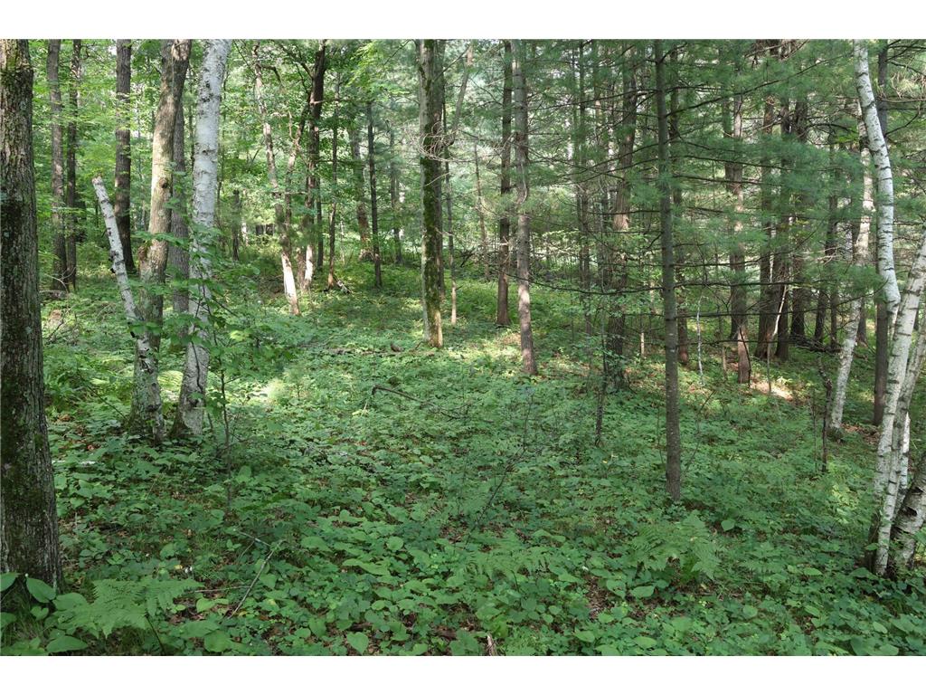 Lot 11 103rd Street Frederic WI 54837 - Knapp Flowage 6762196 image12