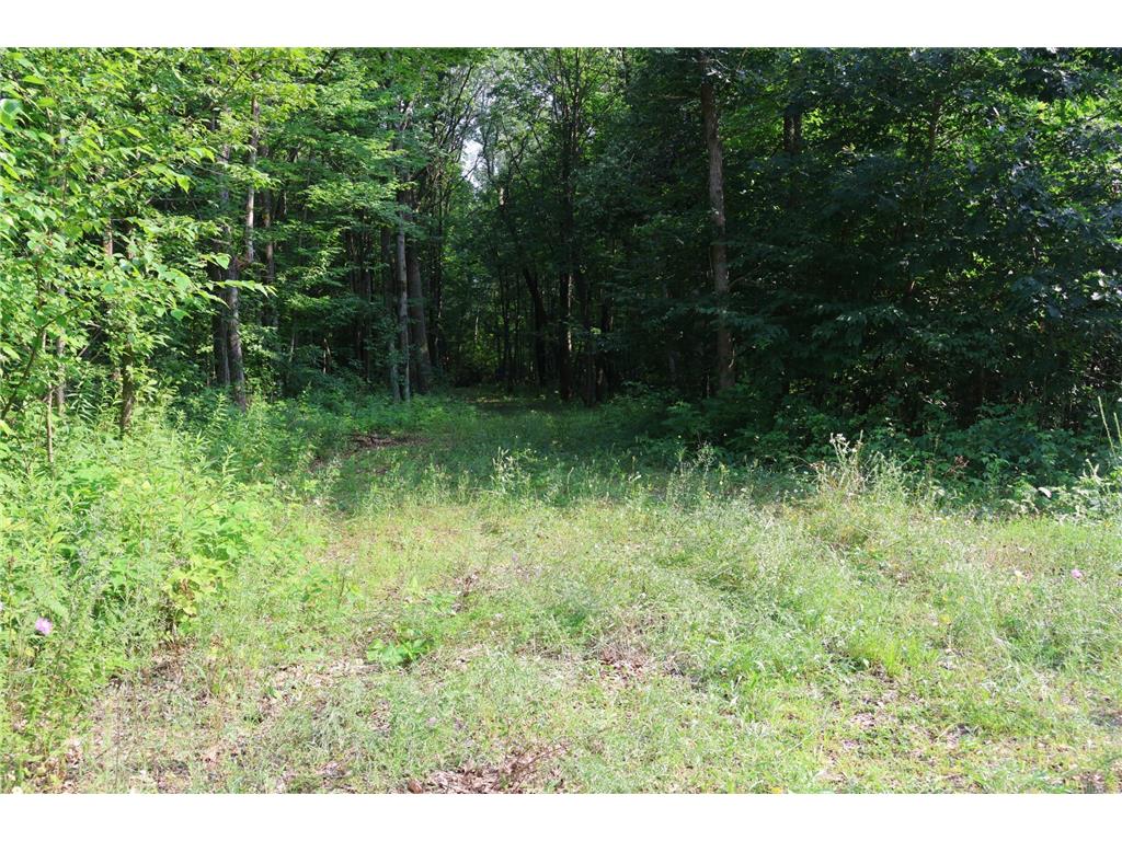 Lot 11 103rd Street Frederic WI 54837 - Knapp Flowage 6762196 image14