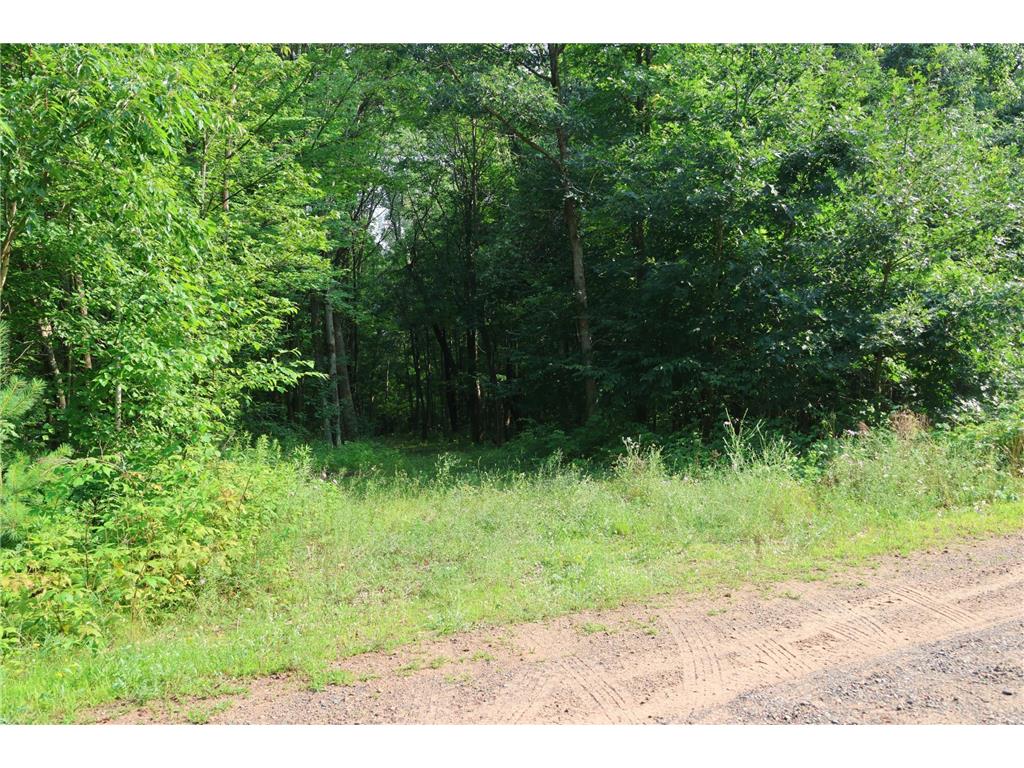 Lot 11 103rd Street Frederic WI 54837 - Knapp Flowage 6762196 image16