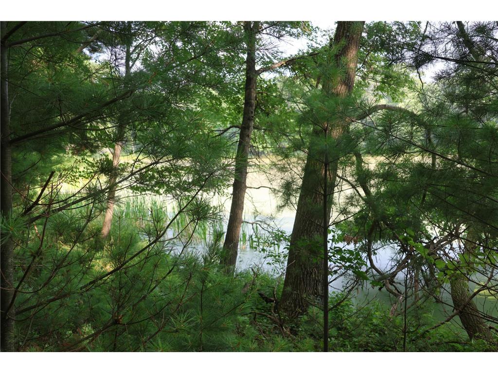 Lot 11 103rd Street Frederic WI 54837 - Knapp Flowage 6762196 image2