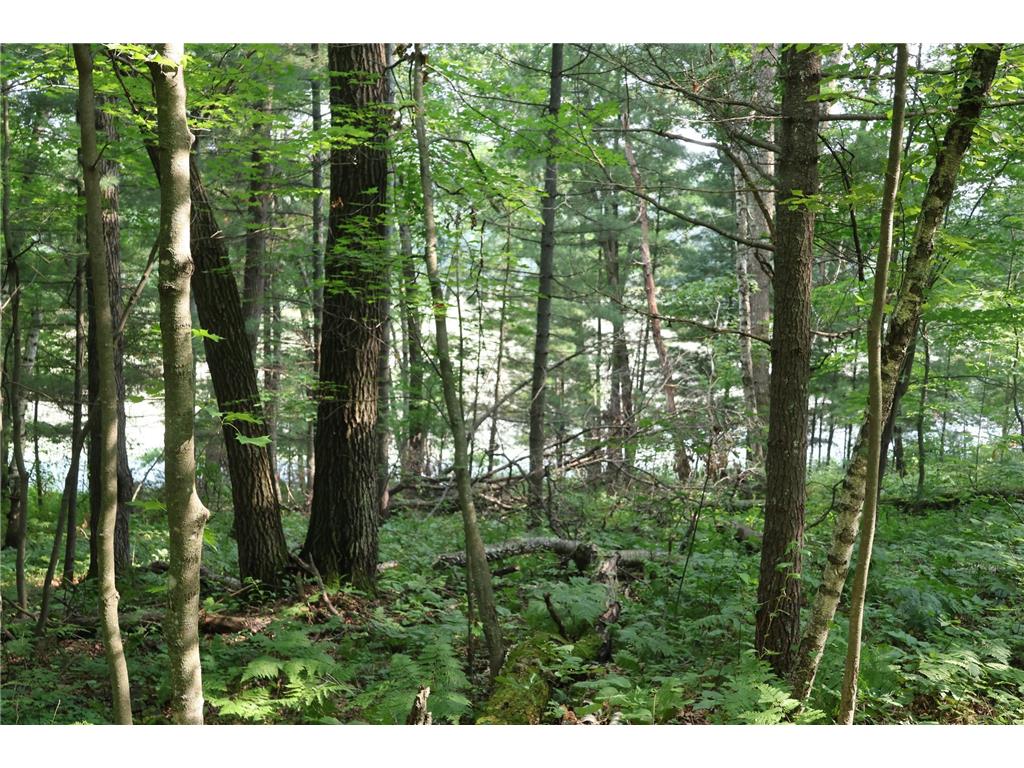 Lot 11 103rd Street Frederic WI 54837 - Knapp Flowage 6762196 image4