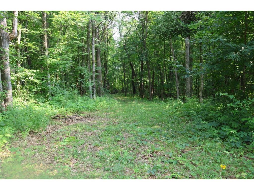 Lot 11 103rd Street Frederic WI 54837 - Knapp Flowage 6762196 image6
