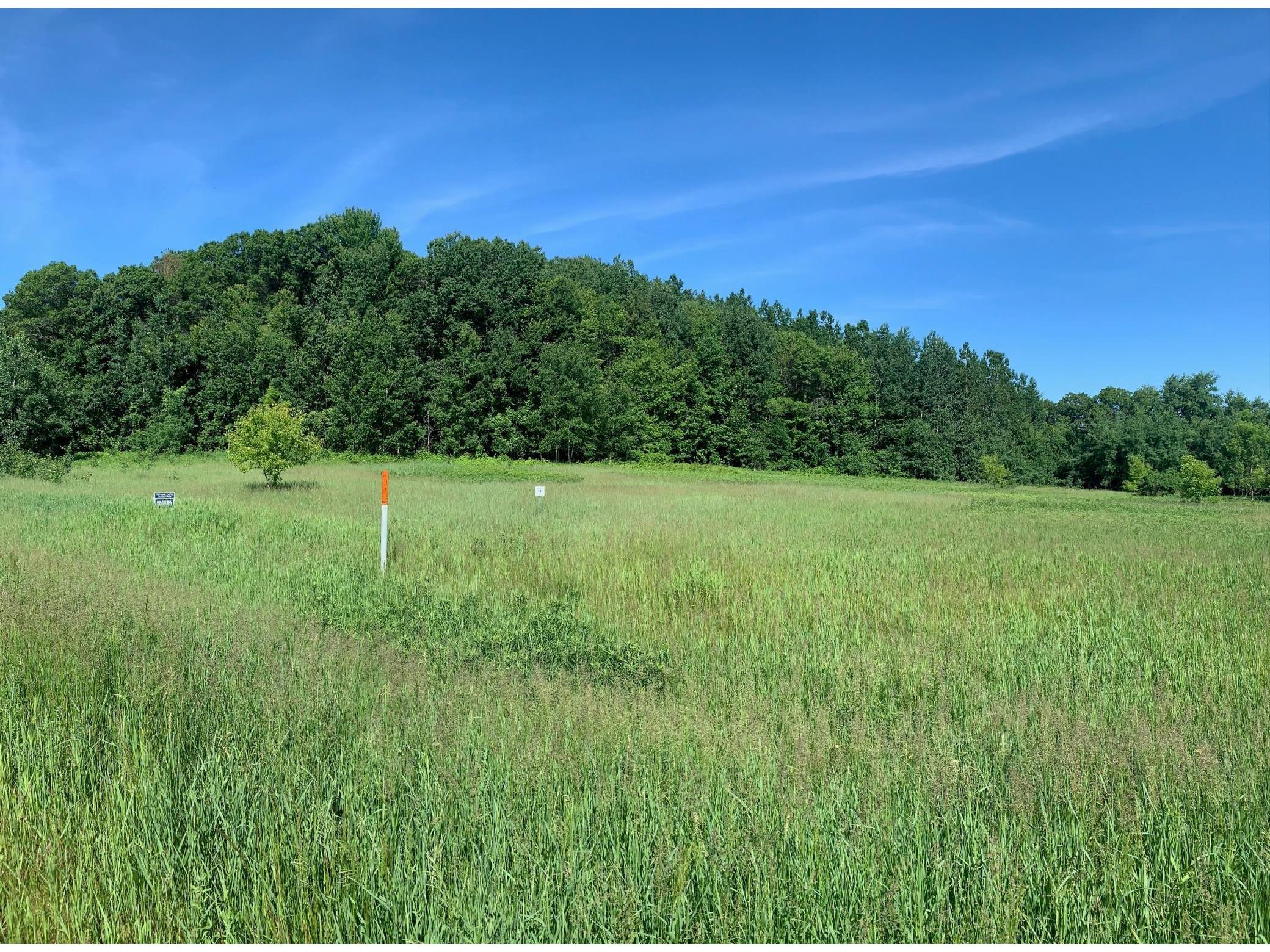 Lot 11 938th Street, Elk Mound, WI 54739 MLS 5710098 Edina Realty