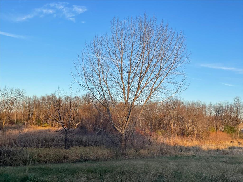 Lot 11 Block 1 Donway Place NE Alexandria MN 56308 7006757 image3
