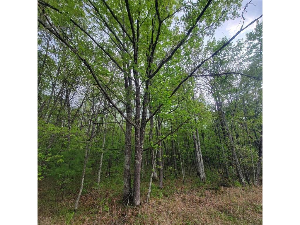 Lot 11 County Road A Spooner WI 54801 6636983 image2