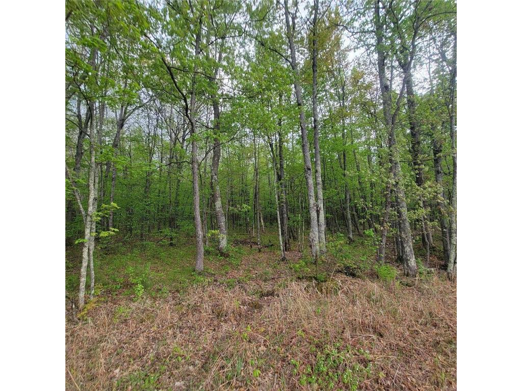 Lot 11 County Road A Spooner WI 54801 6636983 image3