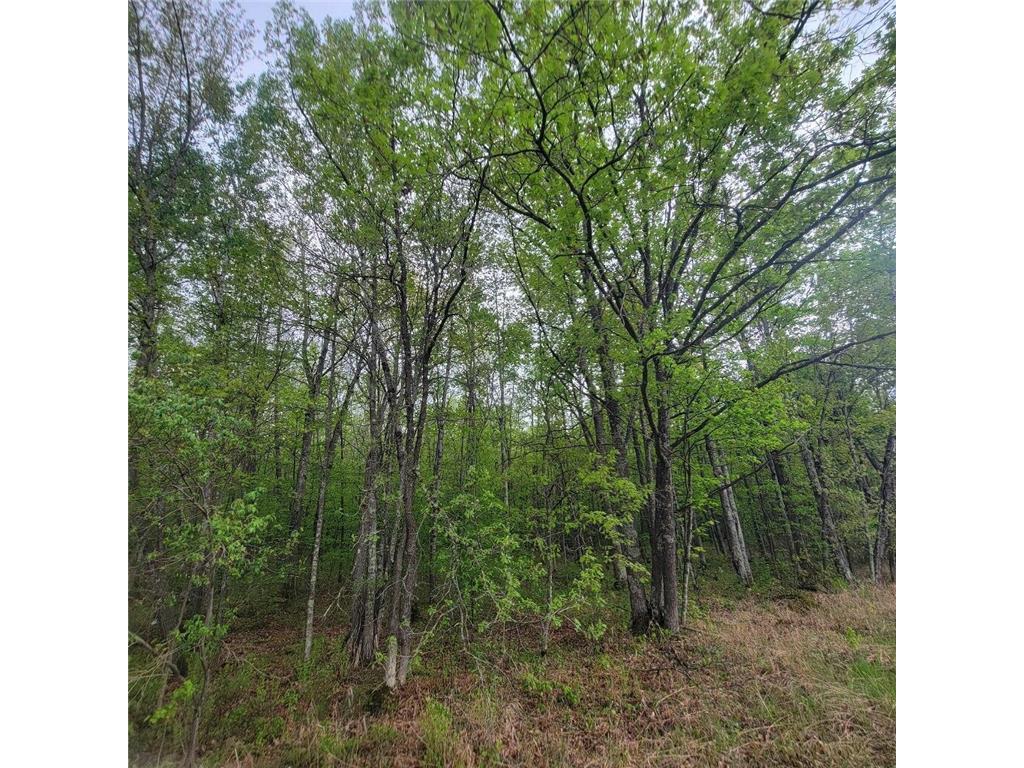 Lot 11 County Road A Spooner WI 54801 6636983 image4