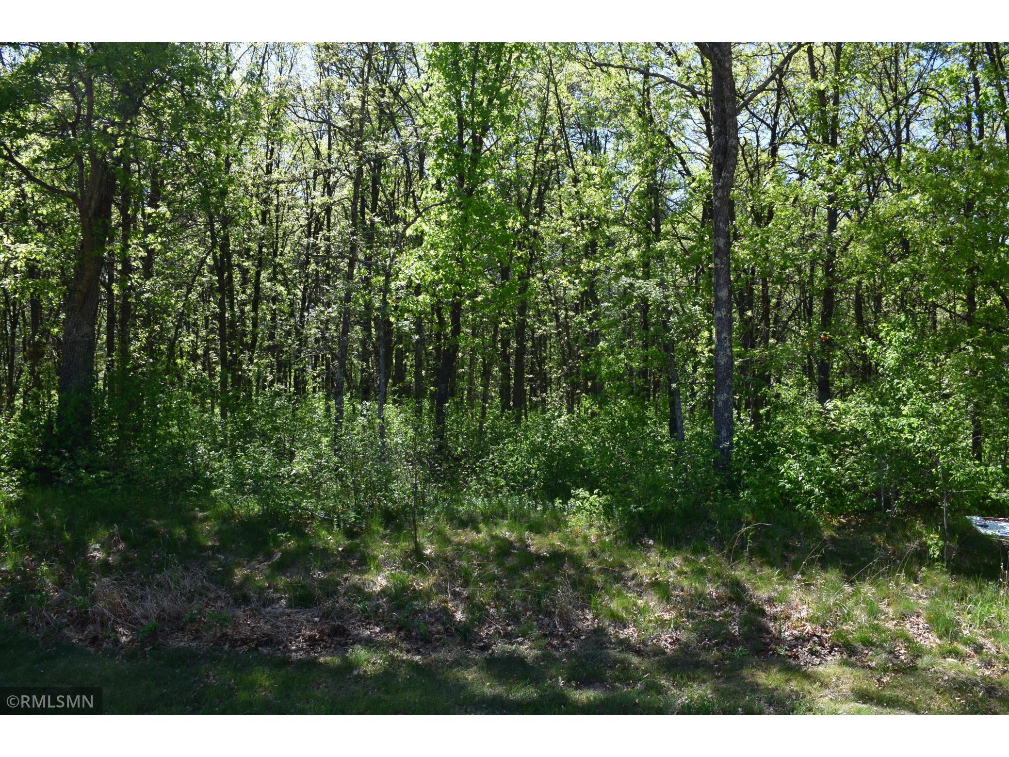 Lot 11 Drake Circle, Jenkins, MN 56474 MLS 5738075 Edina Realty