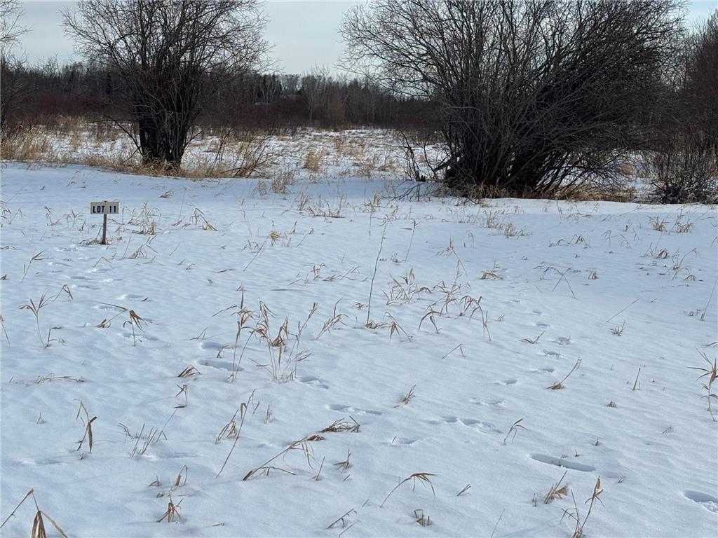 Lot 11 Irvine Avenue NW Bemidji MN 56601 7049085 image4