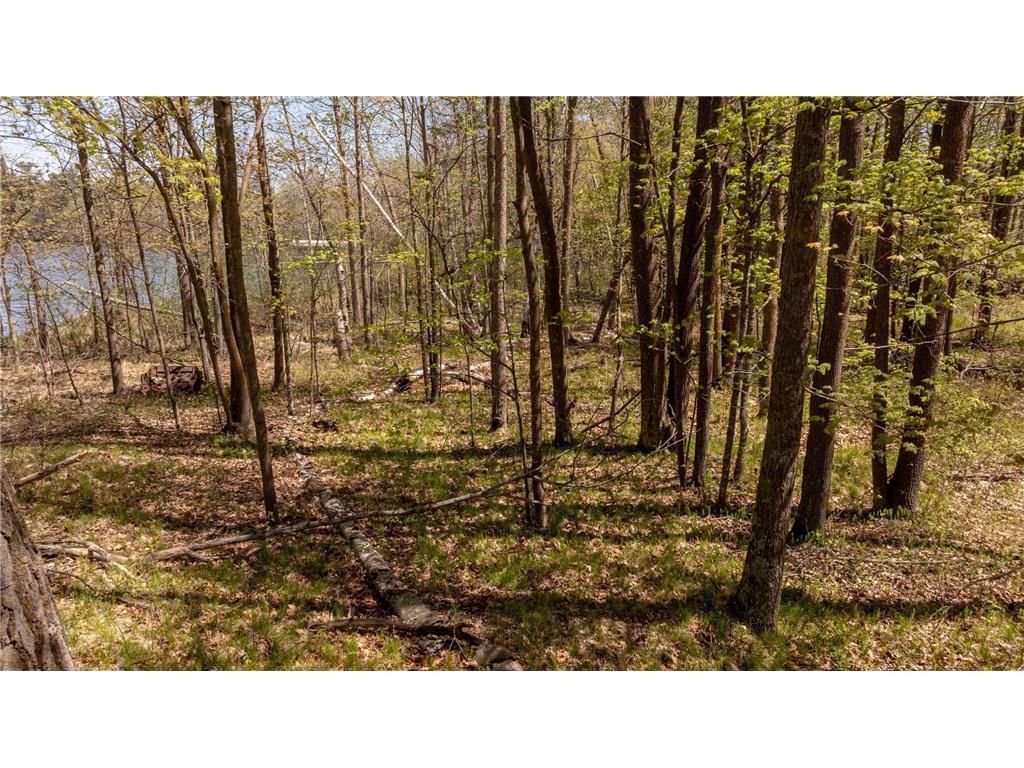 Lot 11 Opah's Drive Aitkin MN 56431 - Ross 7061491 image10