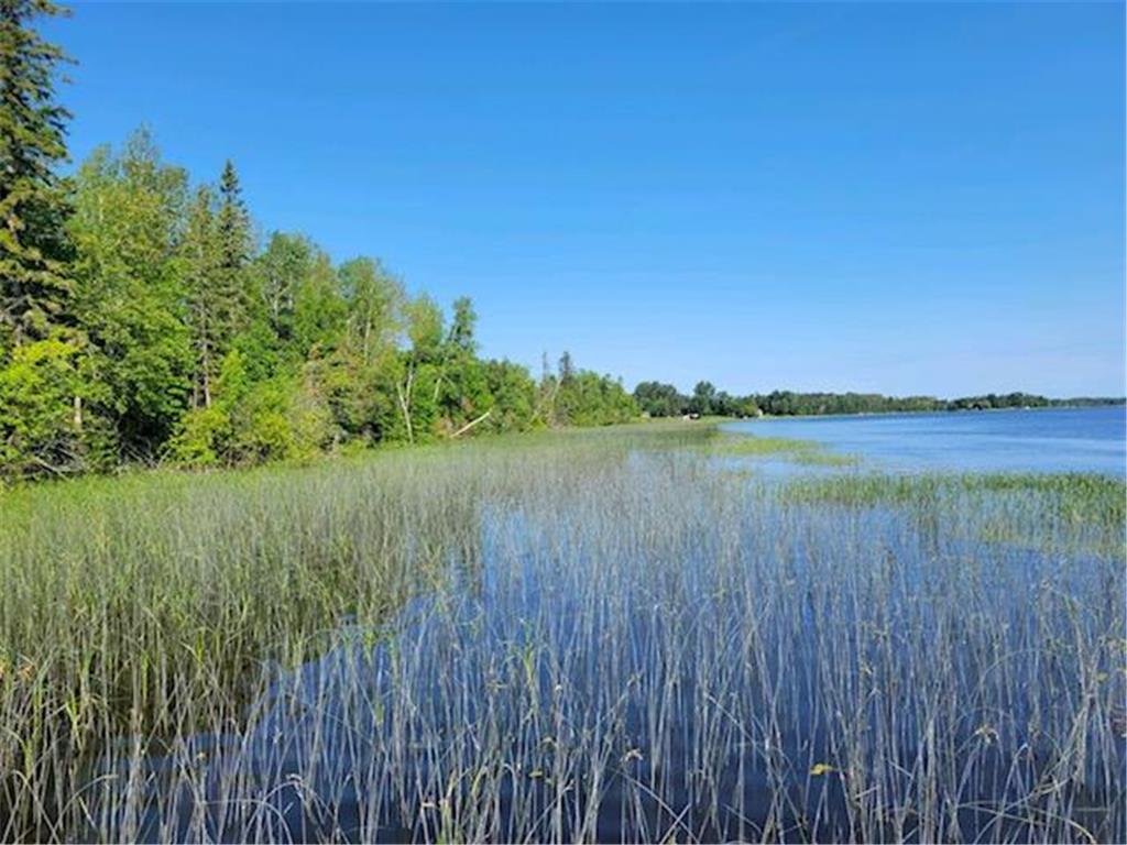 Lot 11 - TBD Driftwood Lane NW Baudette MN 56623 - Rainy River 7106938 image17