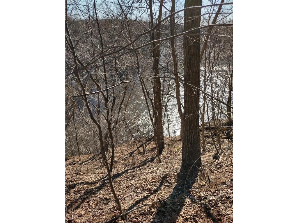 Lot 11 XXX 21-3/4 Chetek WI 54728 - Red Cedar River 6355143 image1